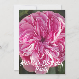 Rose Flower Pink Birthday Childs Girls Invitation