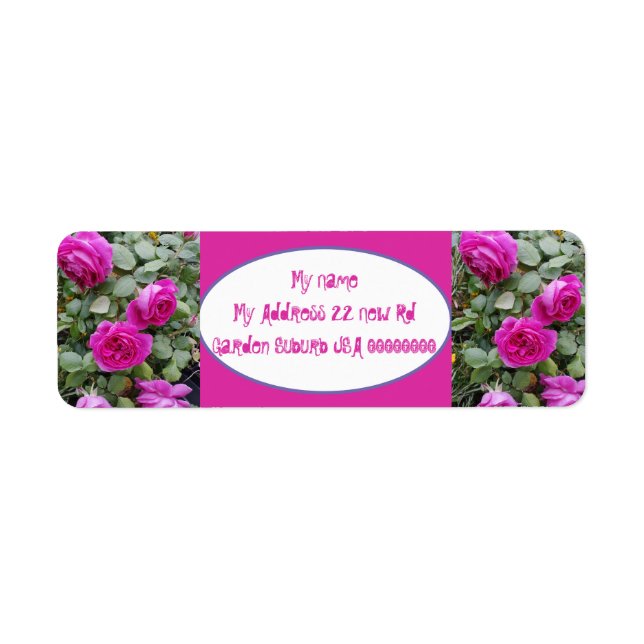 Rose Flower Pink Floral Vintage Roses Art (Front)