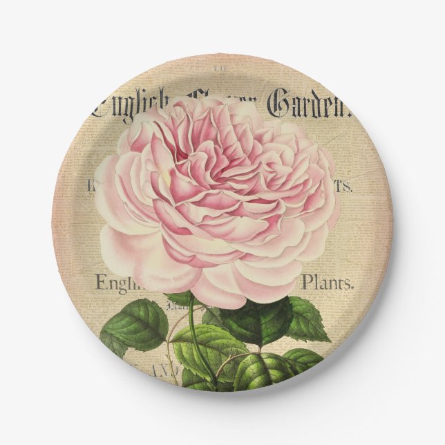 Rose flower vintage feminine floral paper plates (Front)