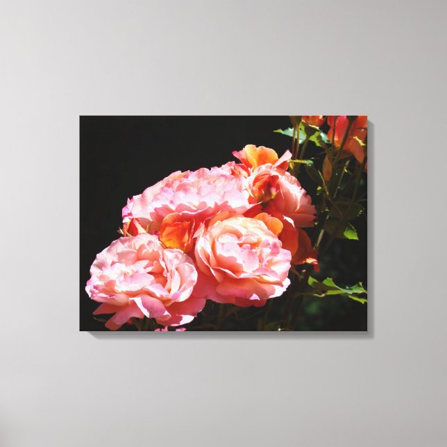 Rose Flowers Canvas prints Pink Roses (Front)