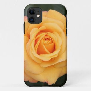 rose flowers flower love wife sweetheart couple Case-Mate iPhone case