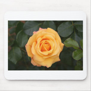 rose flowers flower love wife sweetheart couple mouse pad