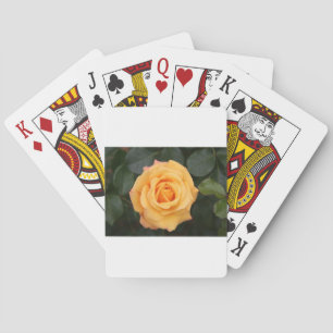 rose flowers flower love wife sweetheart couple playing cards