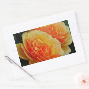 Rose Flowers in Bloom / Orange / Envelope Seals