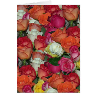 rose galore
