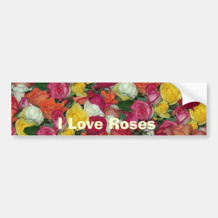 rose galore bumper sticker
