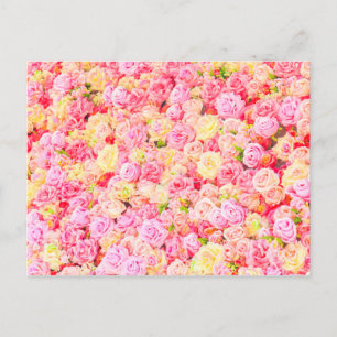 Rose garden announcement postcard