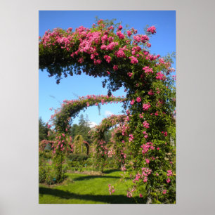Rose Garden Arches of Elizabeth Park Poster