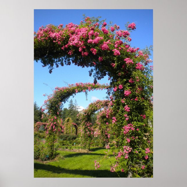 Rose Garden Arches of Elizabeth Park  Poster (Front)