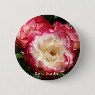 ROSE GARDEN BUTTON gifts Pink White Roses Flowers