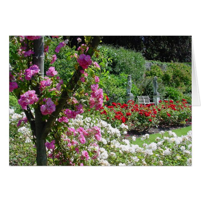 Rose garden card (Front Horizontal)