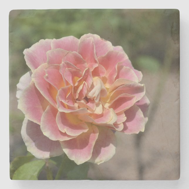 Rose Garden Coaster (Front)