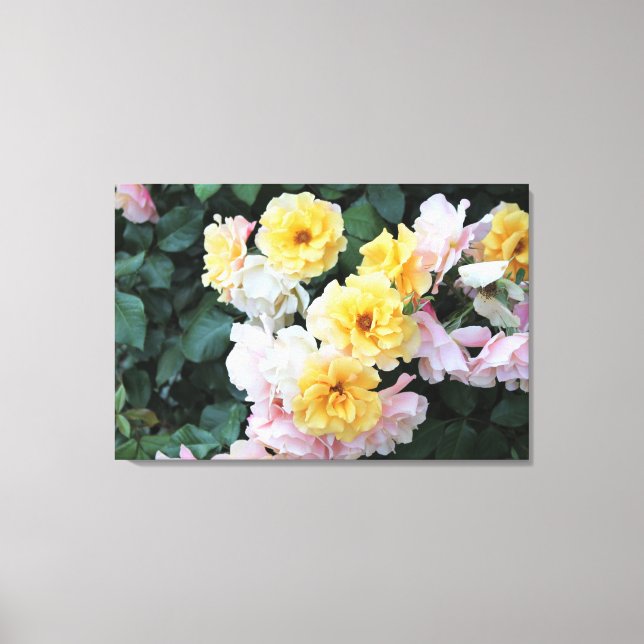 Rose Garden Pastels Canvas Print (Front)