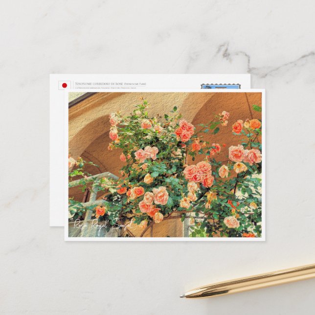 Rose Garden Postcard (Front/Back In Situ)