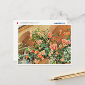 Rose Garden Postcard