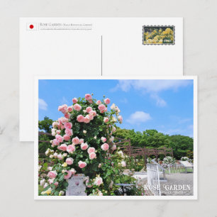 Rose Garden Postcard