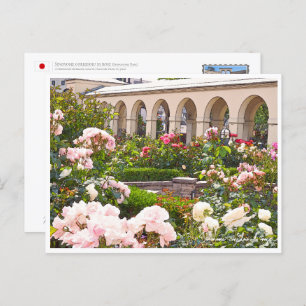 Rose Garden Postcard