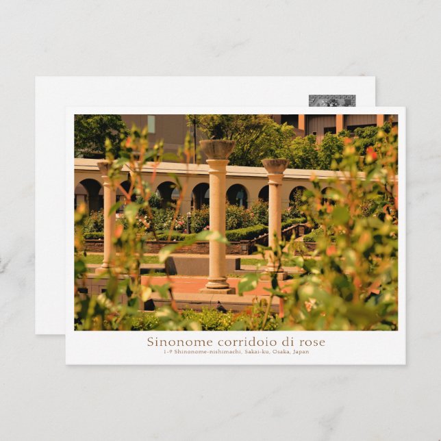 Rose Garden Scenery Postcard (Front/Back)