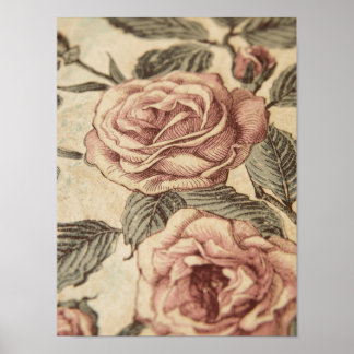 Rose Garden Sketch Poster