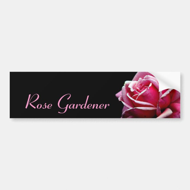 Rose Gardener Bumper Sticker (Front)