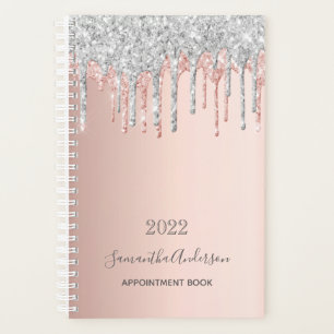 Rose gold silver glitter appointment book 2025 planner