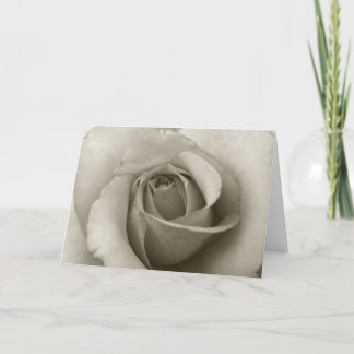 Rose Greeting Card