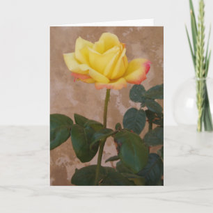 Rose Greeting Card