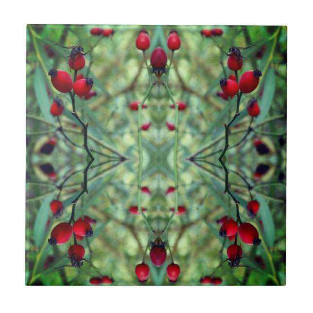 Rose hip Abstract Photography Photo Tile (Front)
