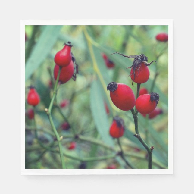 Rose hip Autumn Phtography  Paper Napkin (Front)