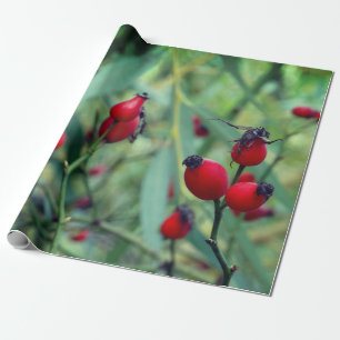 Rose hip Autumn Phtography Wrapping Paper