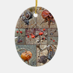 Rose Hip Collage Ceramic Tree Decoration