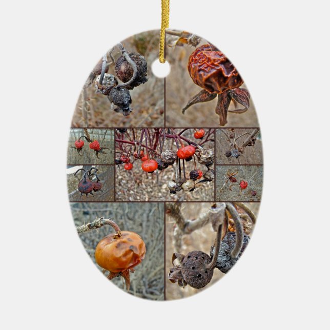 Rose Hip Collage Ceramic Tree Decoration (Front)