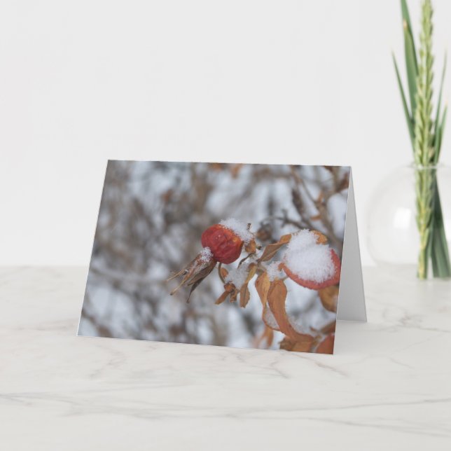 Rose Hip in Winter Card (Front)
