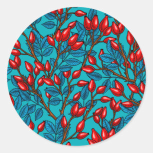 Rose hips, red and blue classic round sticker