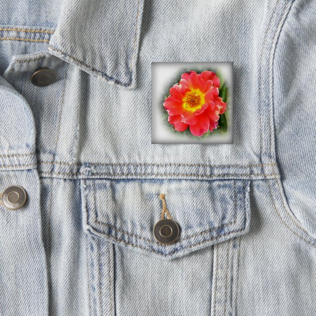 Rose in autumn 15 cm square badge (In Situ)