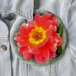 Rose in autumn 6 cm round badge