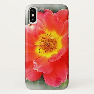 Rose in autumn Case-Mate iPhone case