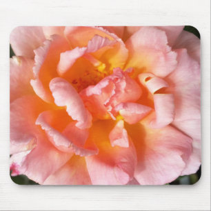 rose in autumn mouse pad