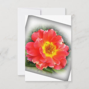 Rose in autumn thank you card