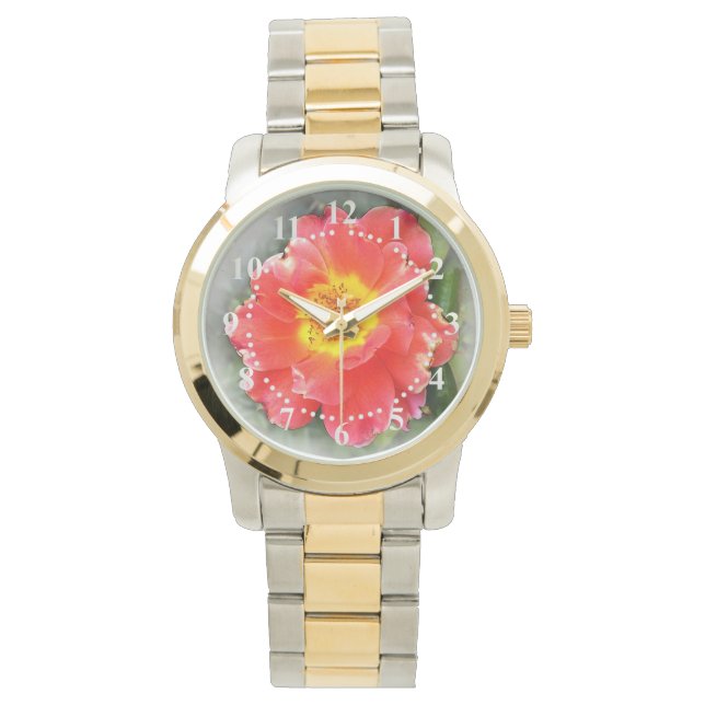 Rose in autumn watch (Front)