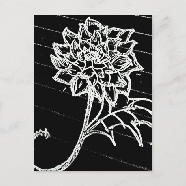 Rose in black postcard (Front)