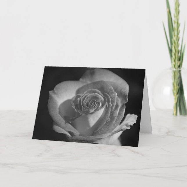 Rose in Black & White Card (Front)