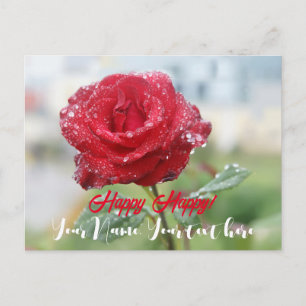 Rose in raindrops   holiday postcard