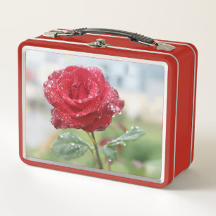 Rose in raindrops  metal lunch box