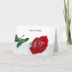 rose in snow birthday card