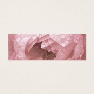 Rose in the Desert, Profile Card