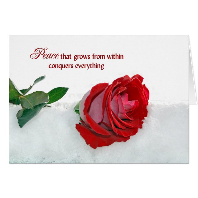 Rose in Winter (Front Horizontal)