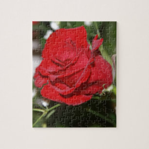 Rose Jigsaw Puzzle