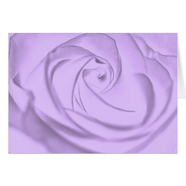 Rose -lavender.jpg (Front Horizontal)