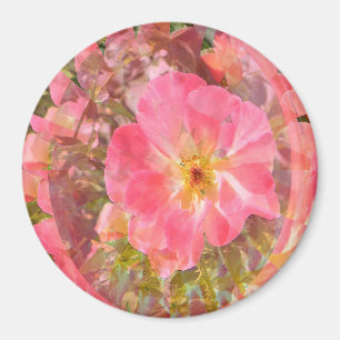 Rose Love....... Magnet